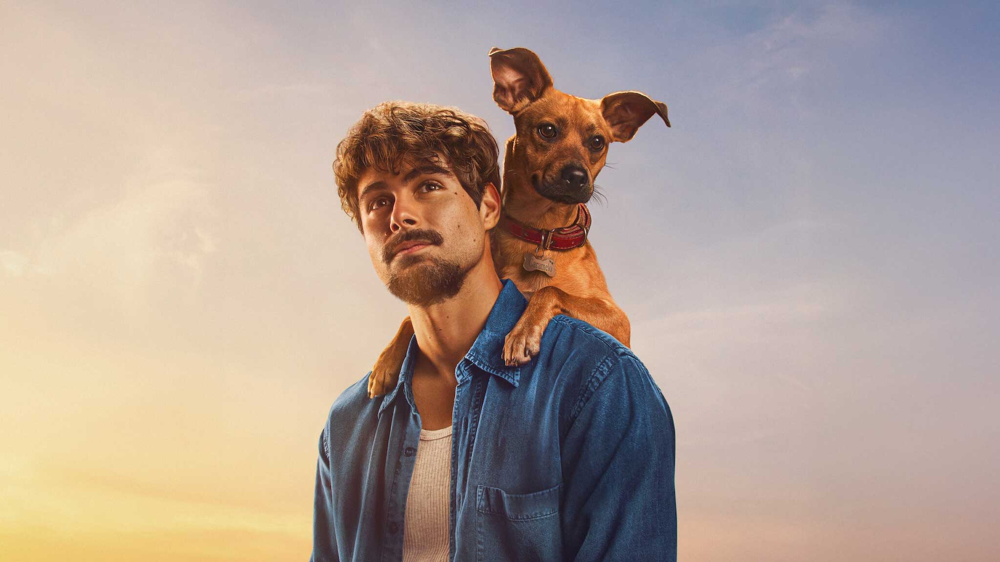 Netflix Picks for November 2025: International Gems, Dramas & Must-Watch Documentaries